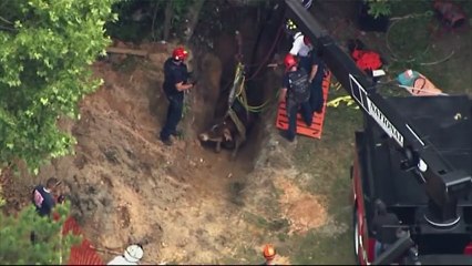 Un taureau piégé dans un puits de 4m de profondeur