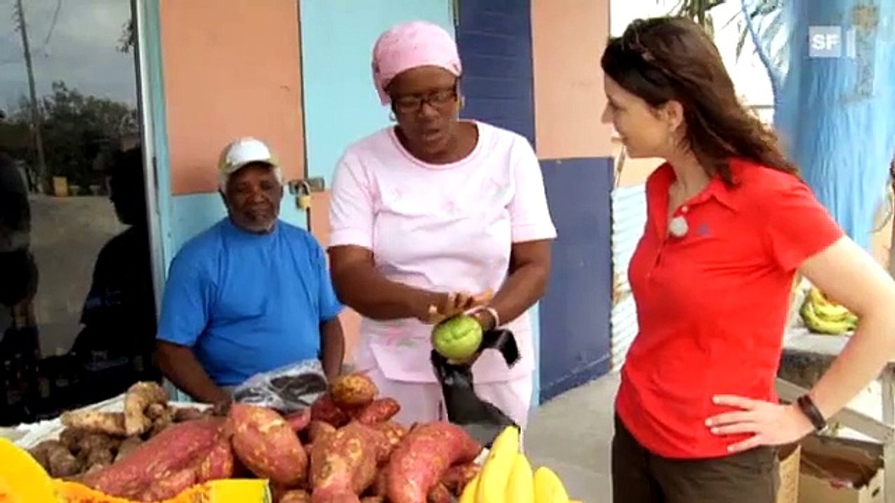 Fernweh 2010 - Montserrat bis St. Martin ( Folge 4 )
