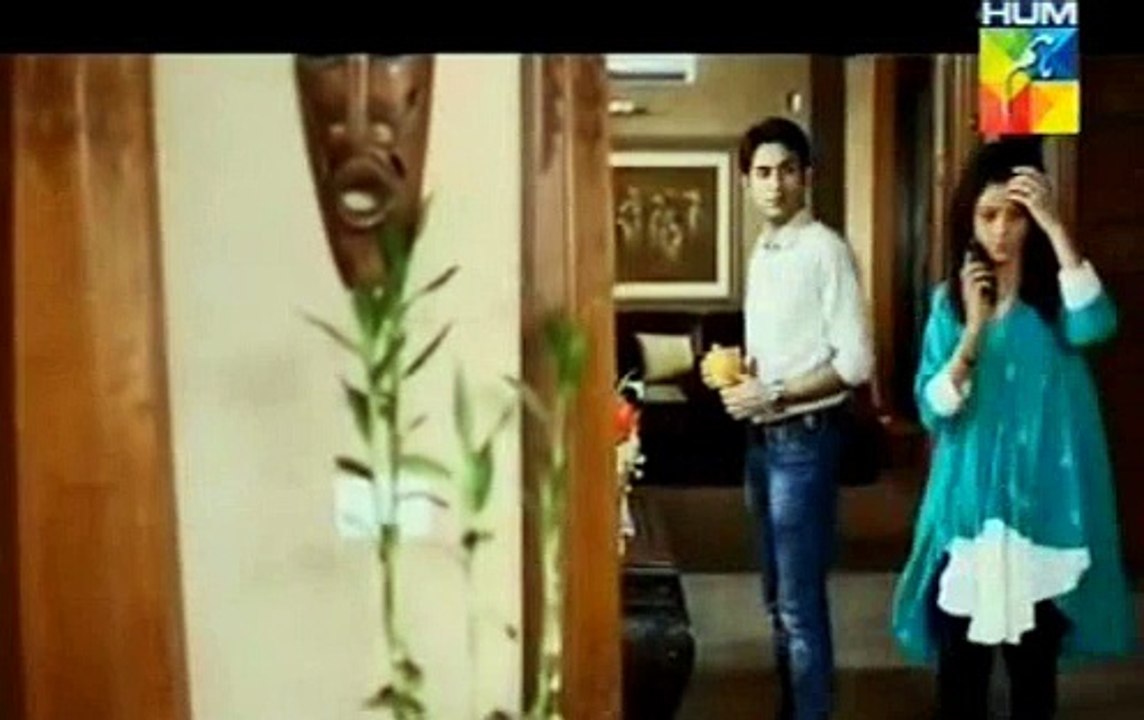 Aey Zindagi Hum drama 4th june 2015 stagtube