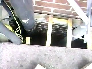 Jemma's Rescue-Starved mother cat and babies found down drain