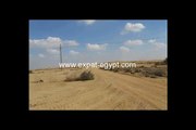 Land for sale in Sheikh Zayed.