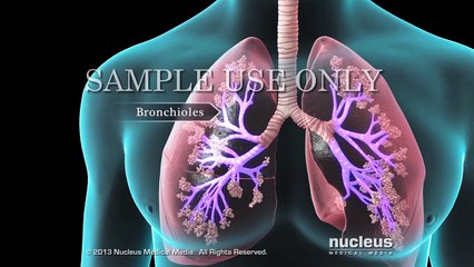 Spirometry Test for Lung Function