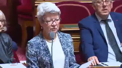 QAG de Dominique Gillot du 4 juin 2015