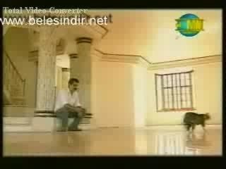 Nankor kedi ibrahim tatlises