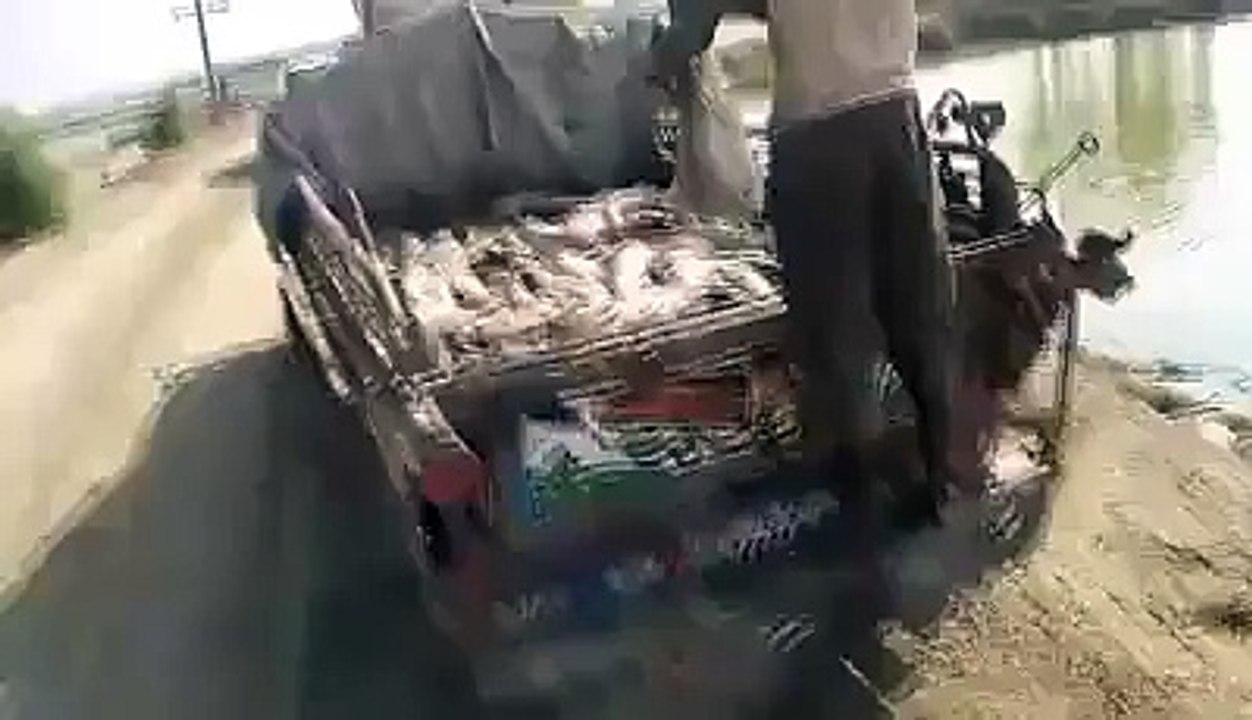 A man catch the fish