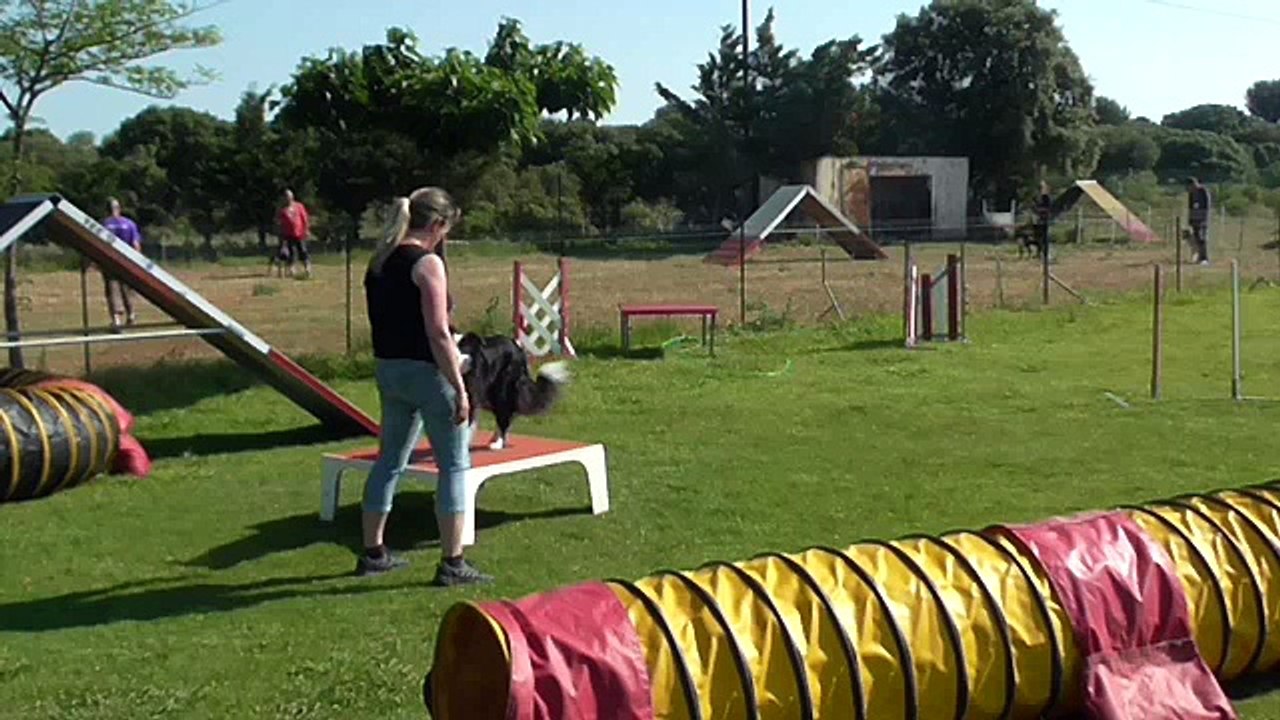 Christine et Luna, agility loisir, mai 2015