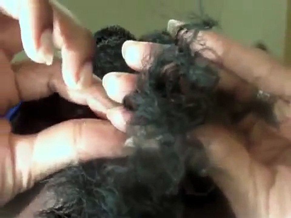 44| How to Two Strand Flat Twist Natural Hair Tutorial - 2 different techniques!