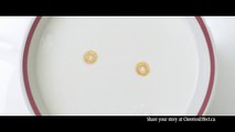 The Cheerios Effect: Across Cultures