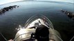 Swimming with beluga whales in Churchill, Manitoba (GoPro)