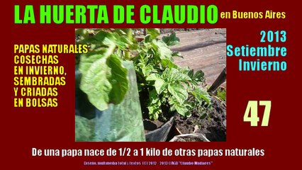Cultivar papas orgánicas en casa - Cosecha de invierno