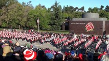 University of Wisconsin (UW) Badger Marching Band -  2011 Pasadena Rose Parade