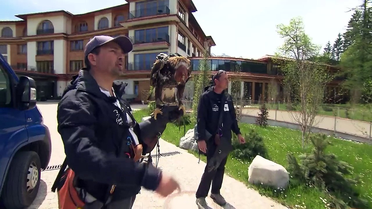 Mit Adleraugen zum G7-Schloss Elmau