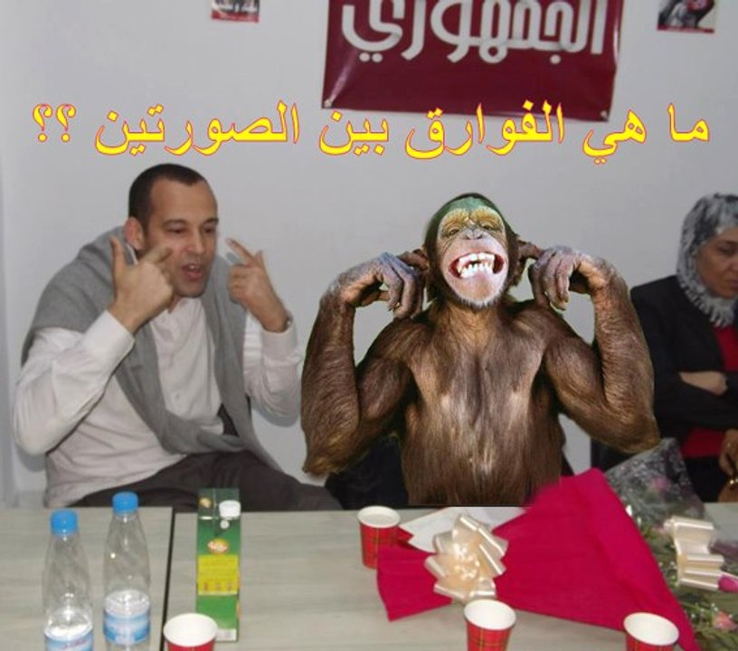 رسالة للفاشل #ياسين #إبراهيم إلي يقول على التونسة حمقى و بش يشكي بقناة #الزيتونة: كل ما ورد في برنامج بالمرصاد من أراء