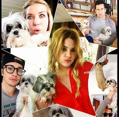 Heather Catania Los Angeles Photos Gallery