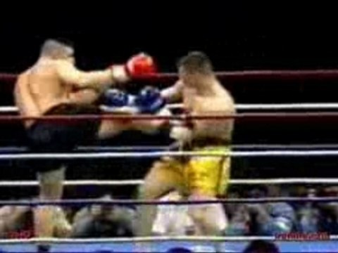 Jerome Le Banner vs Mirko Cro Cop