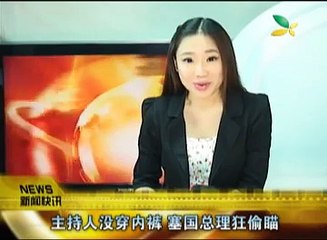 CQTV:主持人没穿内裤 塞国总理狂偷瞄