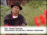 Ecuador Exporta Hierbas Medicinales
