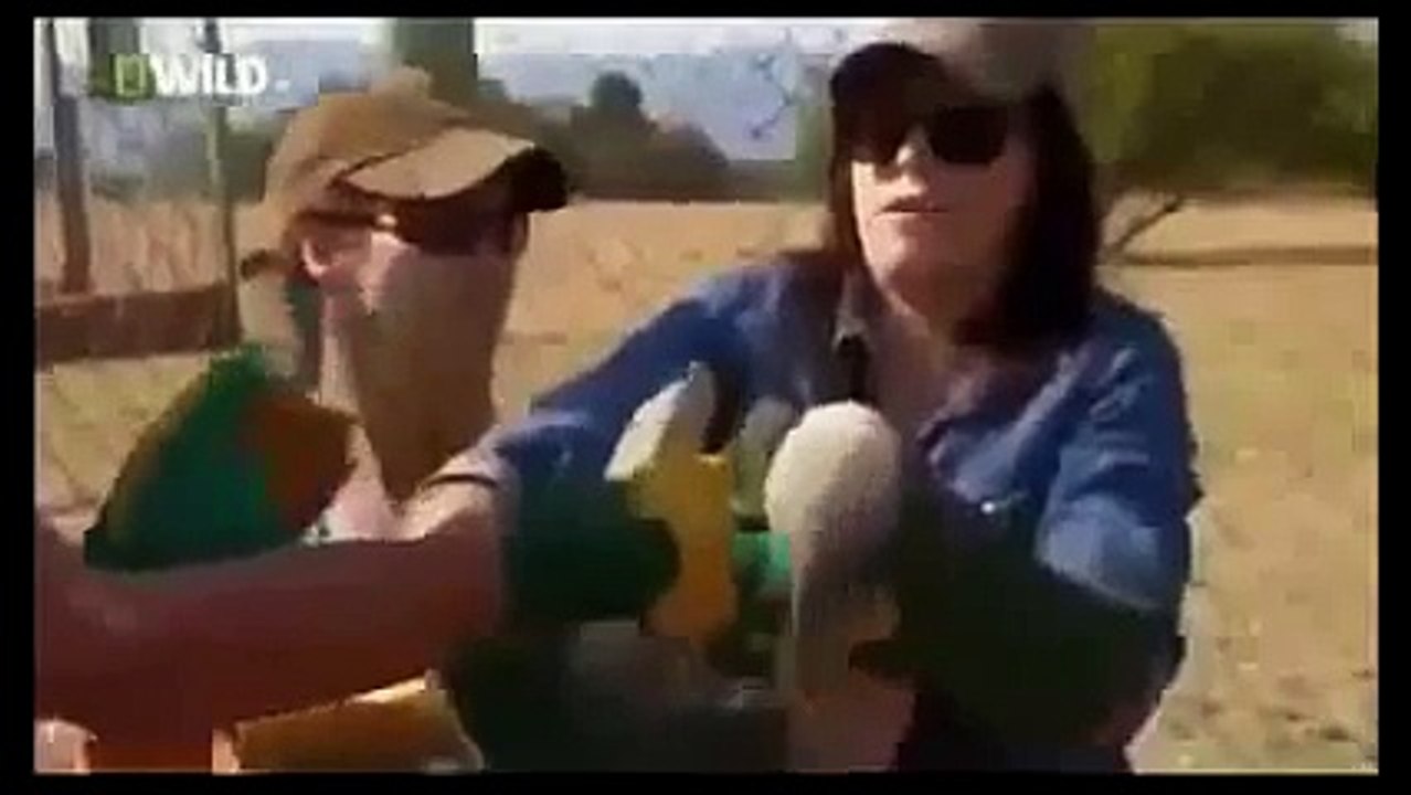 Nature Discovery Documentary Amazing Life Nature Documentaries HD 2014