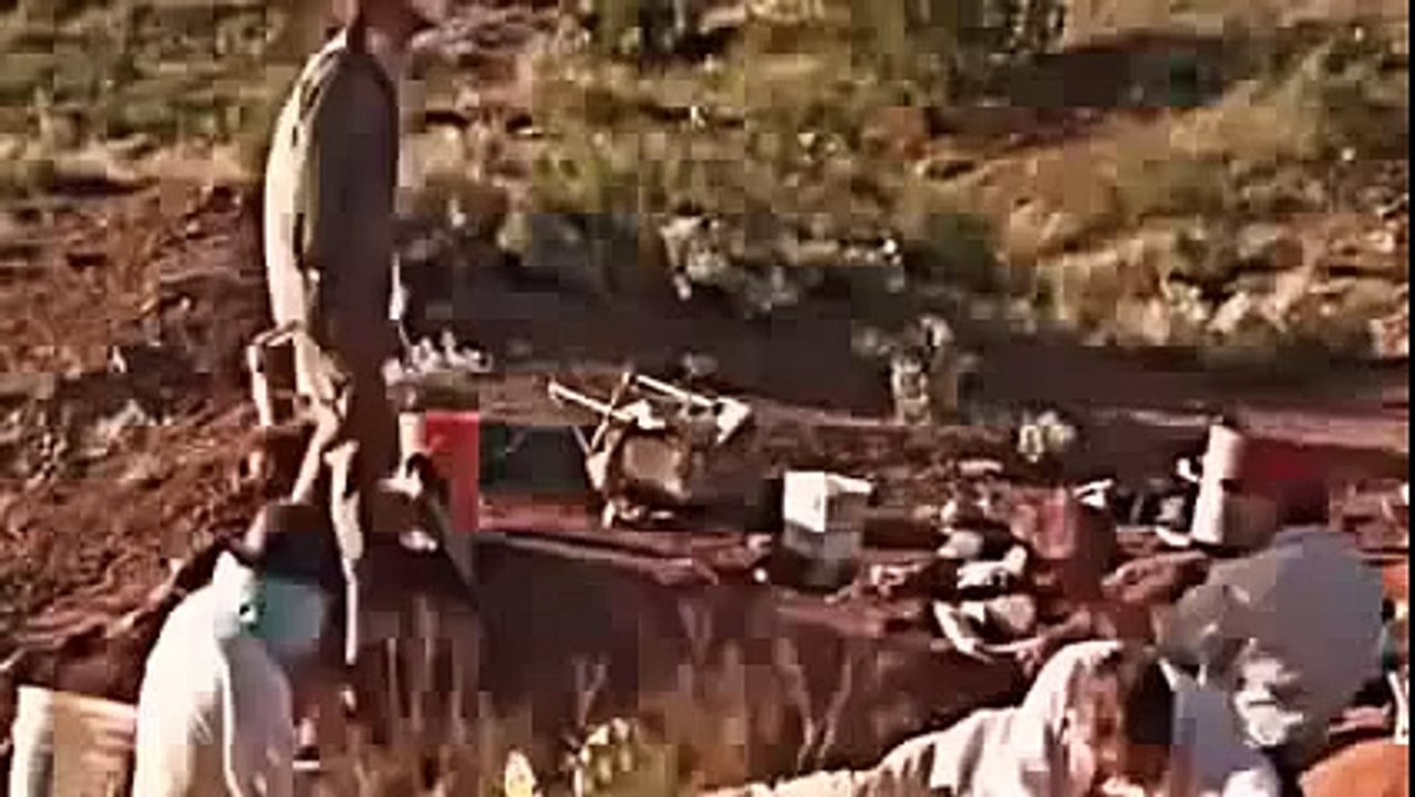 ARCTIC DINOSAURS NOVA Discovery Animals Nature documentary