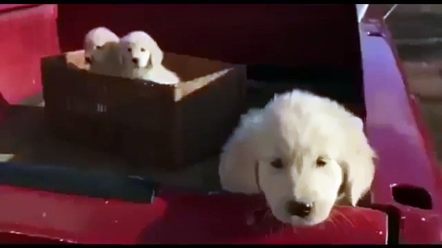 TOP 30 SUPERBOWL ADS OF ALL TIME - Best Super Bowl Commercials