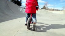 A 3 year old and his Strider bike in the skate park (Strider bikes rule!)