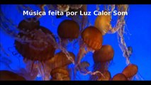 Oceano Profundo Criaturas e Peixes Incríveis de Estranha Beleza - Relax Music