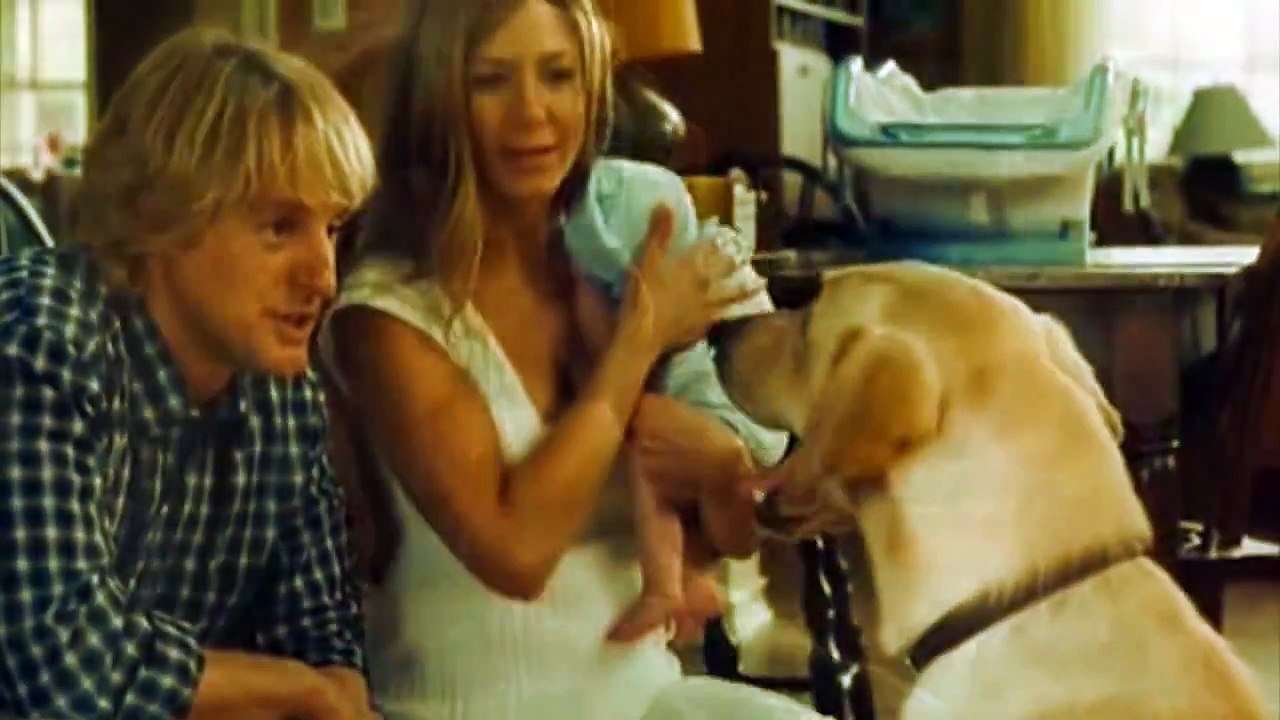 Marley & Me || Lay down