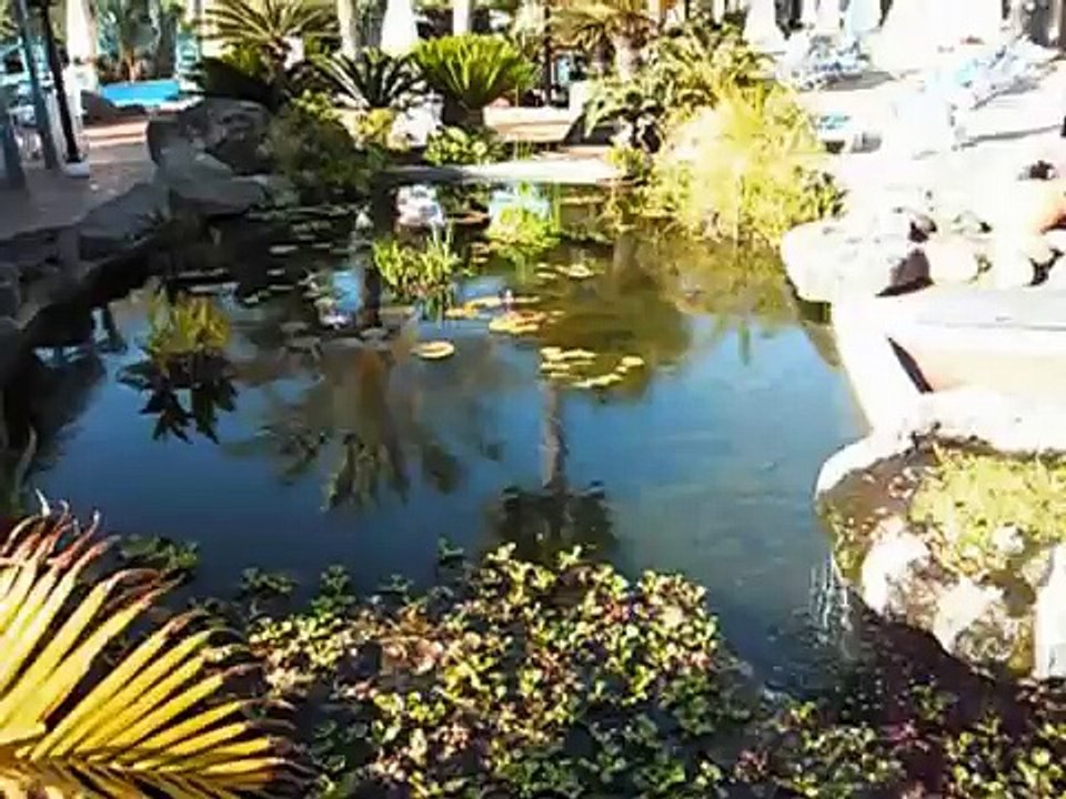 LOS JAMEOS PLAYA ****  PUERTO DEL CARMEN / LANZAROTE