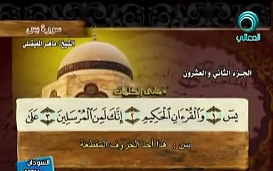 سورة يس مصحوبة بمعاني الكلمات..الشيخ ماهر المعيقلي