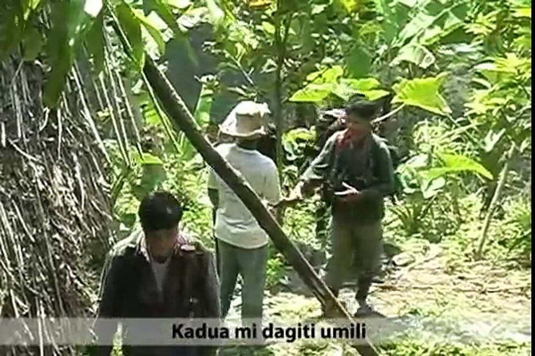 banbantay, turturod