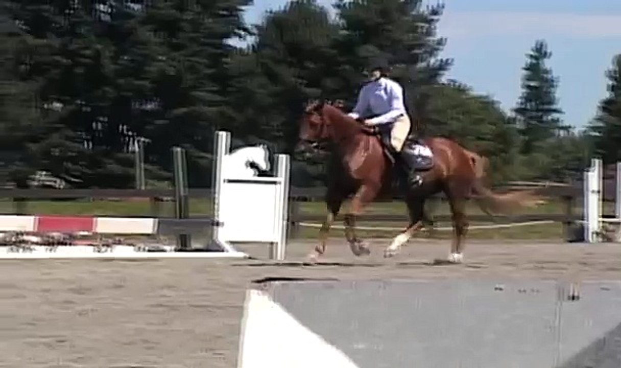 Lydia Donida CT show jumping July 2008