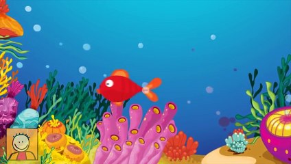 Kırmızı Balık - 3 Çocuk Şarkısı Bir Arada