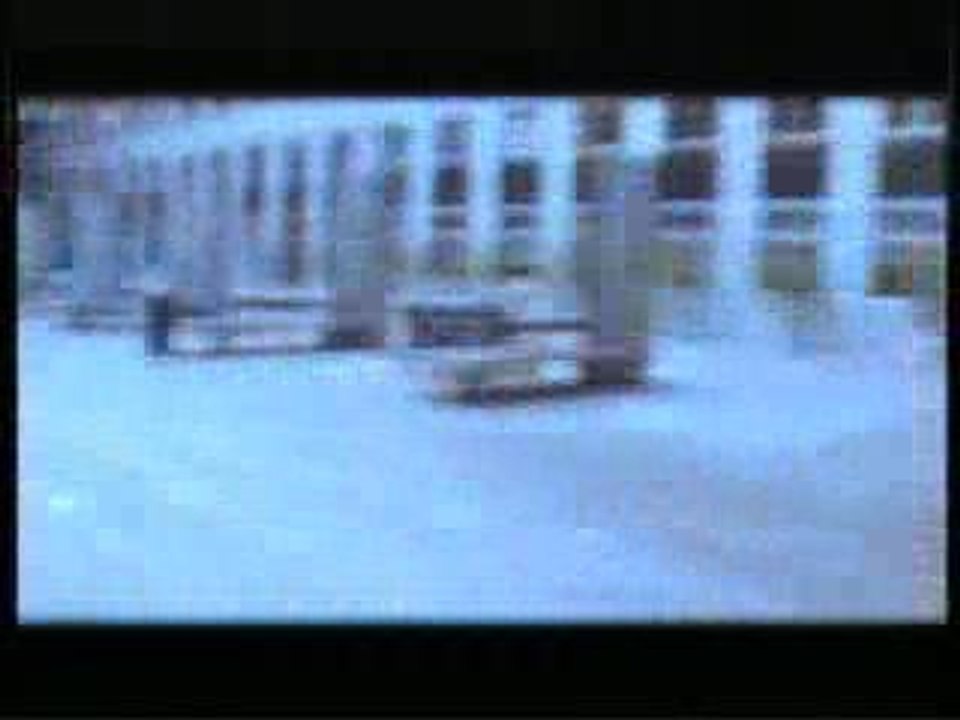 Université Dauphine - Phinedo attitude