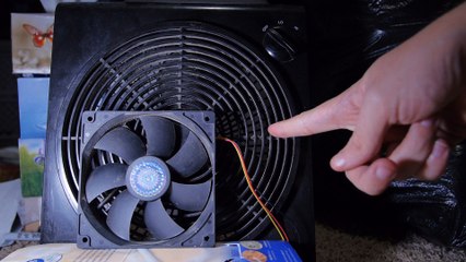 Wagon wheel effect demonstration