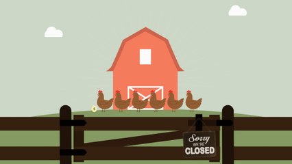 Why your egg prices are going up