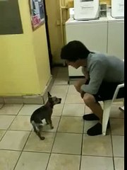 Jack in the Laundromat