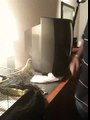 Parakeet performs amazing tricks