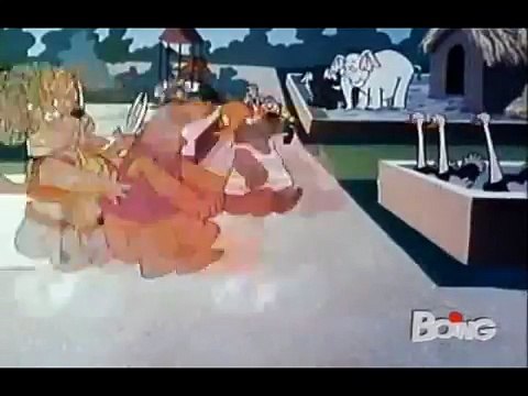 Napo orso capo, titoli di apertura e di chiusura