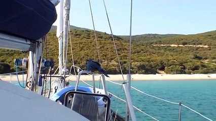 blu pappagallo parlante - blu the talking parrot