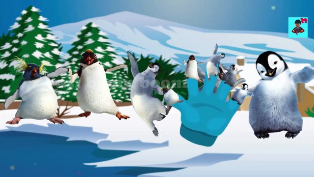 Happy Feet Finger Family Songs | Cartoon Animation Nursery Rhymes For Children