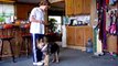 German Shepherd Puppy Clicker Training