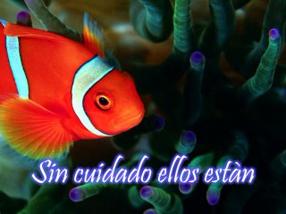 Como las Olas - Melany Orellana