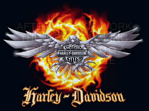 HARLEY DAVIDSON SPORTSTER TOURING