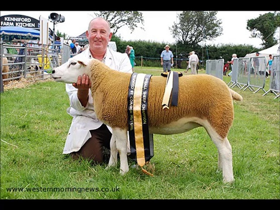 34 foto, carneiros, cordeiros e carneiros melhores - 34 photo, moutons, agneaux et béliers meilleurs.