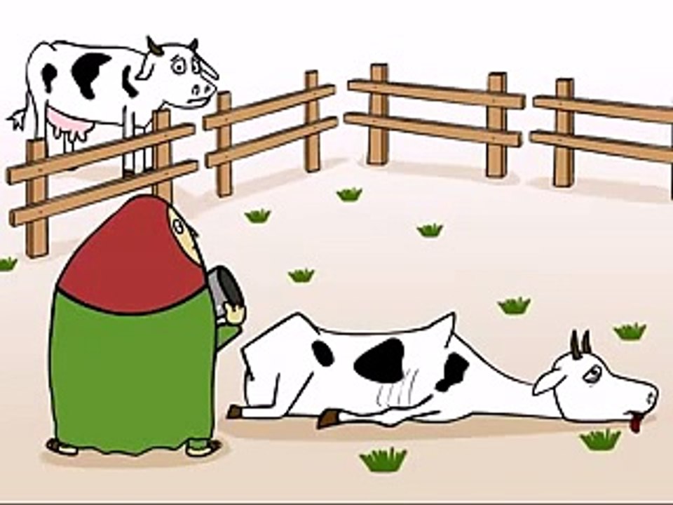 آخرین جون مرتاض