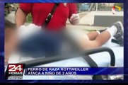 Niño de dos años fue atacado por perro rottweiler en el Cercado de Lima