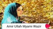 Amir Ullah Myami Wazir From Alamkhel Shewa North WaziristansWaziristan Great Song