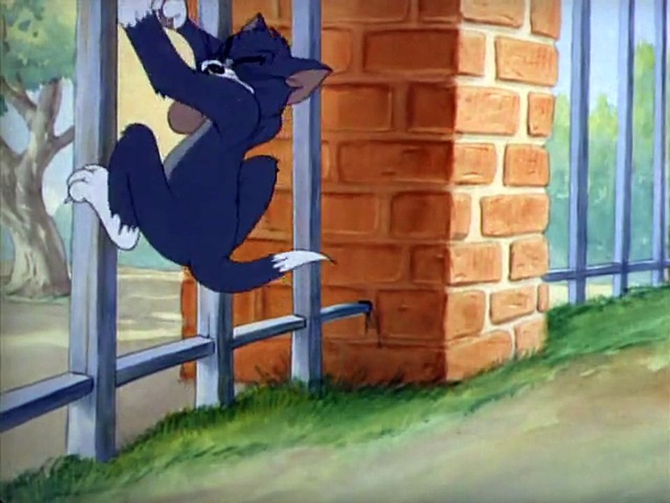 Tập 16 - Puttin' On The Dog – Tom & Jerry