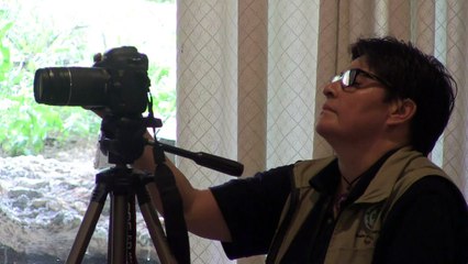 Una Comisión de la Verdad para Colombia