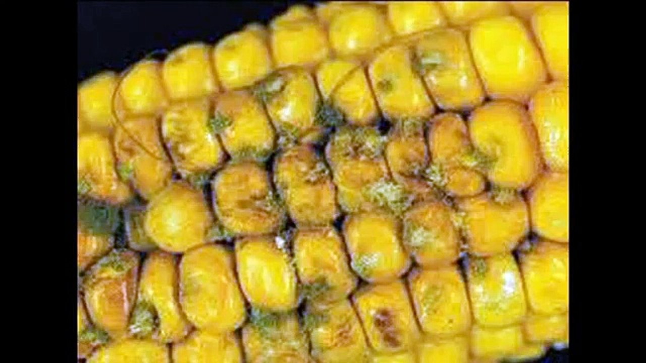 MALATTIE DA FUNGHI E TUMORI NEL CANE E NEL GATTO www.alessandroprota.it